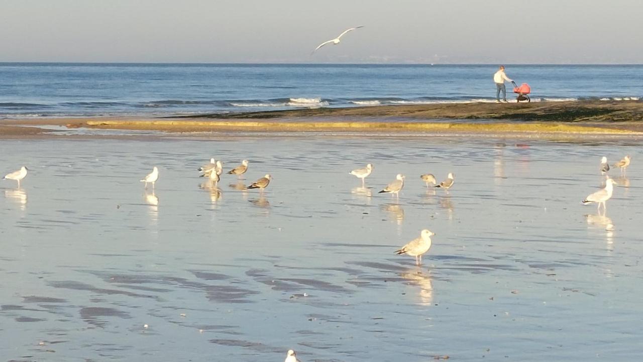 Les 3 Mouettes A Cabourg - Cote Normande Apartman Kültér fotó
